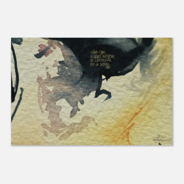 a2912411-2ed0-4ab0-b1ab-14e783813bf0