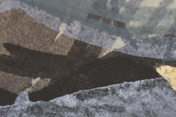 photographie-matiere-en-souffle-1-ecritures-vivantes-détail Fragment photographique abstrait avec matière diffuse et respiration graphique