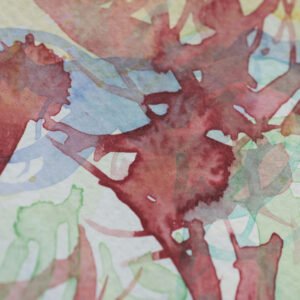 Mutation silencieuse #2 est une photographie abstraite contemporaine texturée avec lumière diffuse et formes organiques